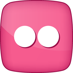 Flickr 2 Icon 256x256 png