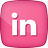 LinkedIn 2 Icon