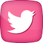 Twitter 3 Icon 64x64 png