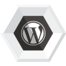 WordPress Icon 96x96 png
