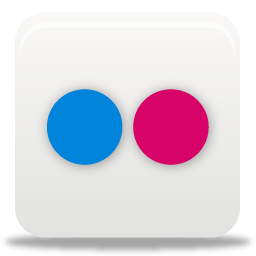 Flickr 1 Icon 256x256 png