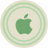 Apple Green Icon 48x48 png