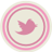 Twitter 2 Pink Icon