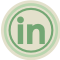 LinkedIn Green Icon