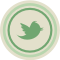 Twitter 2 Green Icon