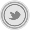 Twitter 2 Grey Icon 60x60 png