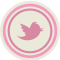 Twitter 2 Pink Icon