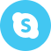 Skype Icon 58x58 png