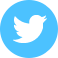 Twitter Icon 58x58 png