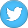 Twitter Icon 58x58 png