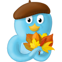 Fall Leaves Icon