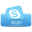 Skype Icon 32x32 png