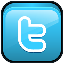 Twitter Icon 256x256 png