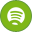 Spotify Variation Icon