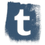 Tumbrl Icon