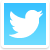 Twitter Icon 50x50 png