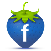 Facebook Icon 163x163 png