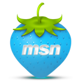 MSN Icon 163x163 png