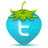 Twitter Icon 163x163 png