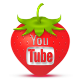 You Tube Icon 163x163 png