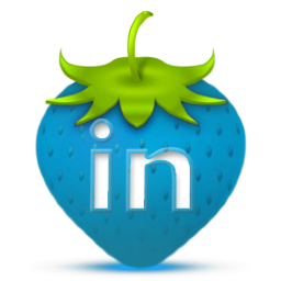 LinkedIn Icon 256x256 png