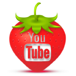 You Tube Icon 256x256 png