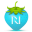 Netvous Icon 32x32 png