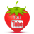 You Tube Icon 48x48 png