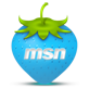 MSN Icon 82x82 png