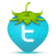 Twitter Icon 82x82 png