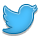 Twitter Shadow Icon