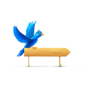 Bird Sign Icon 128x128 png