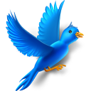 Flying Bird Icon 128x128 png