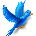 Flying Bird Sparkles Icon 128x128 png