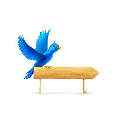 Bird Sign Icon 256x256 png