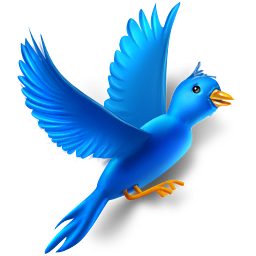 Flying Bird Icon 256x256 png