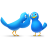 Gossip Birds Icon