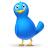 Single Bird Icon