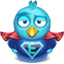 Twitter 06 Icon 64x64 png