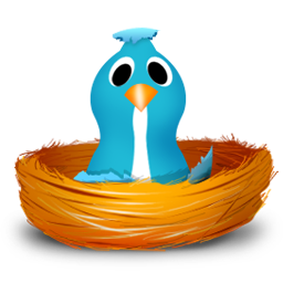Twitter Bird Icon 256x256 png