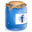 Facebook Jar Icon 64x64 png