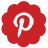 Pinterest Flower Red Icon 48x48 png
