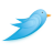 Twitter Bird 07 Icon 48x48 png