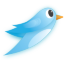 Twitter Bird 08 Icon 64x64 png