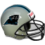 Panthers Icon 64x64 png