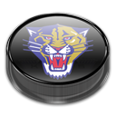 Panthers v4 Icon