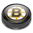 Boston Icon