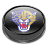 Panthers v4 Icon
