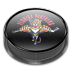 Panthers v2 Icon 72x72 png