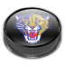 Panthers v4 Icon 72x72 png